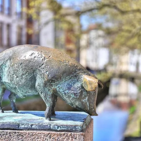 Hotel Ohlerich Speicher App_ 34 Wißmar